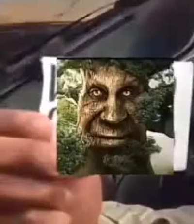 Was the Wise Mystical Tree right for saving this man's life?