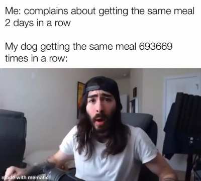 Dog always happy