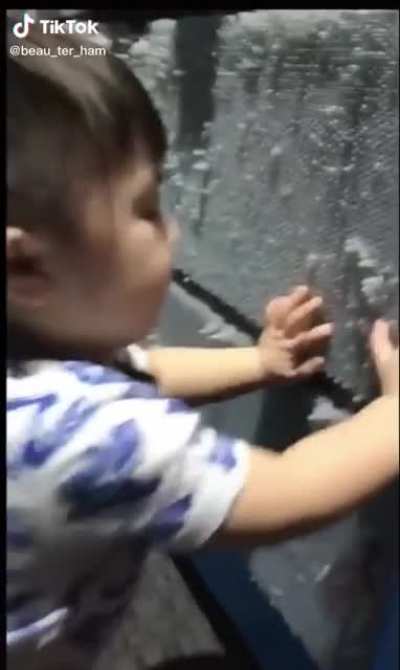 That scream at the end