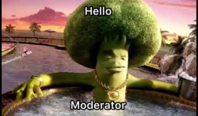 Hello mods