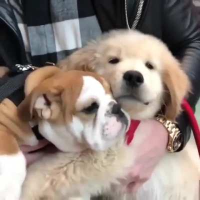 Yawn and Monch