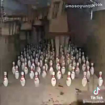 sus
