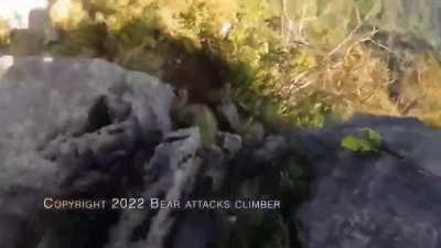Mountain climber fending off a bear&hellip;