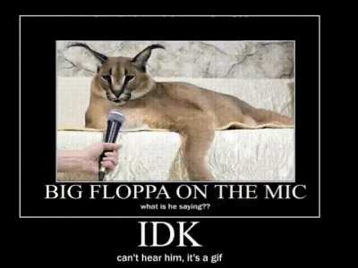 flop on mic