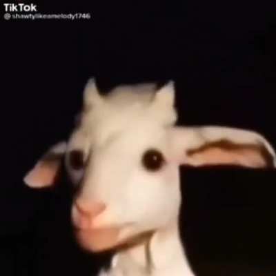 fardnite