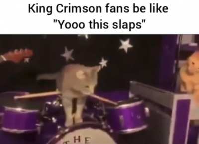 Cat Fripp Cat Fripp Cat Fripp again!