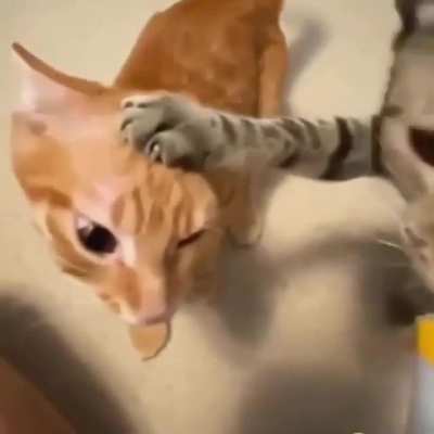 he