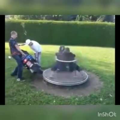 HMFT after I use my makeshift astronaut training device