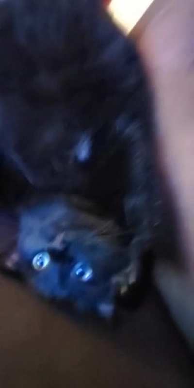 Oliver's a strange fellow