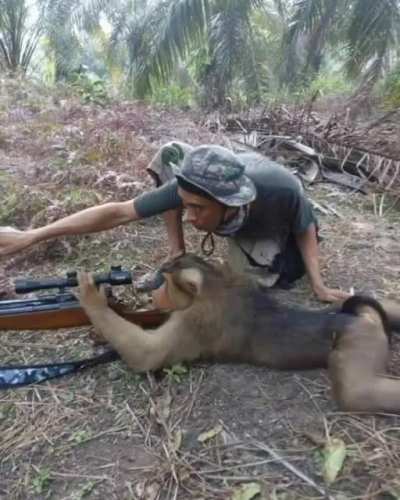 Sniper monkey