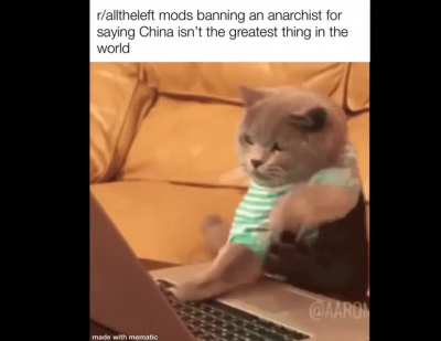 Shameless repost