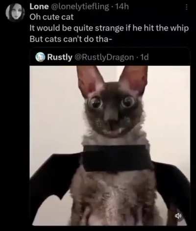 rule