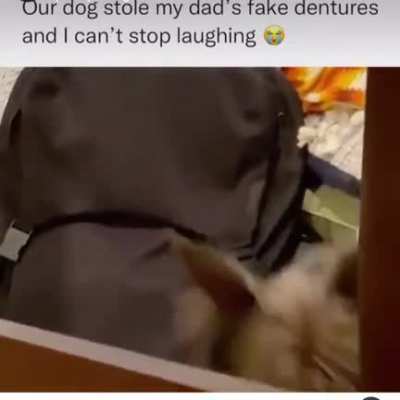 Doggie dentures