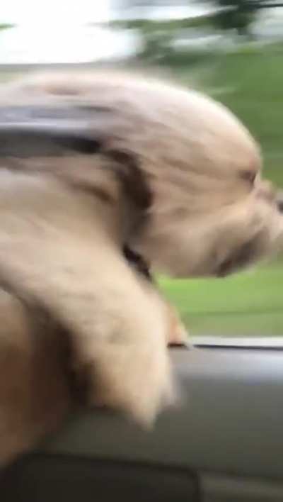 Look me Warp speed