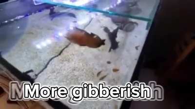 local village merchant attacked by fascist fish. made by me
