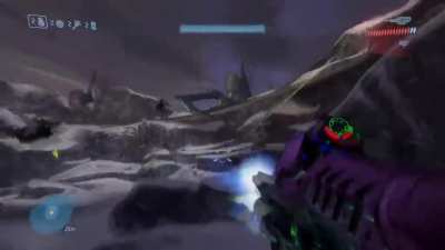 New Scarab defence mechanism