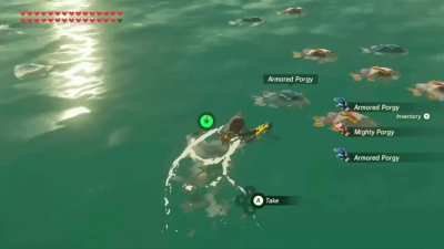 Seagulls know better ... when it comes to fish