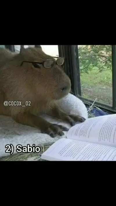 ‎‎‎‎