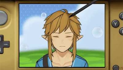 Link-Amie
