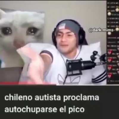 Xd