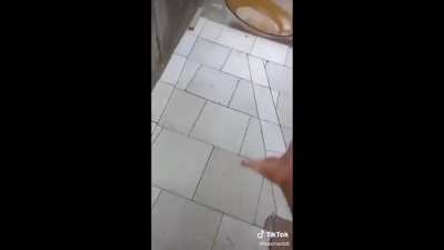 Indestrut&iacute;vel