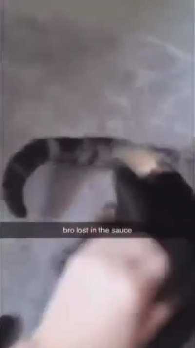 Title 