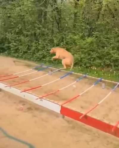 🆒😎