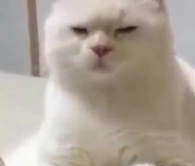 Waking up at 6:00am to tap that space bar