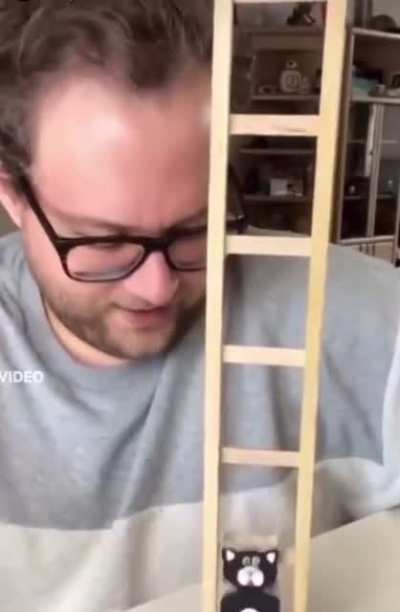 Smart cat
