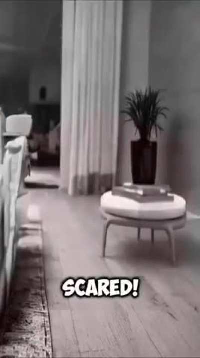 loserpri- huh?