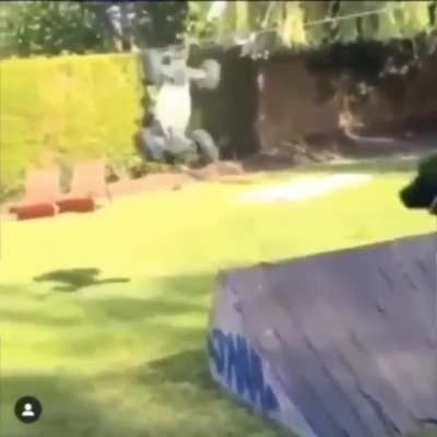 :O