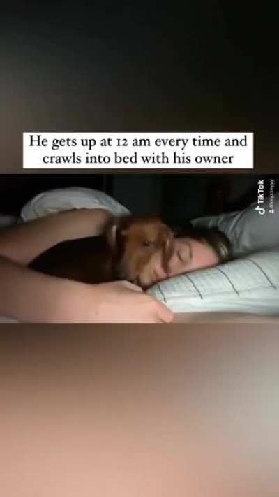 awww