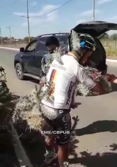 Кактусы это не только алкоголь...