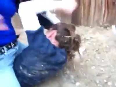 Good fight