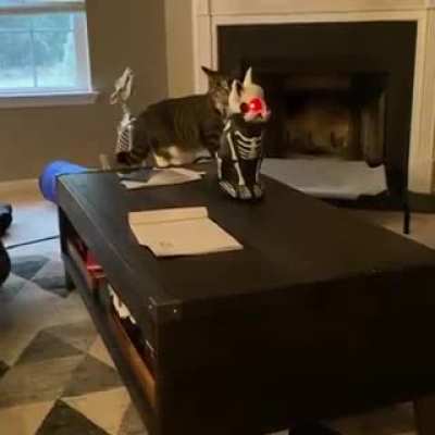 Demonic robot cat scream