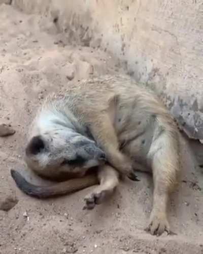 Всё