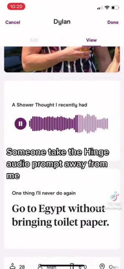 Hinge audio prompt