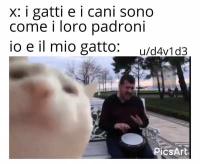 memesITA - Video #0263
