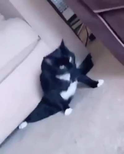Here he comes!