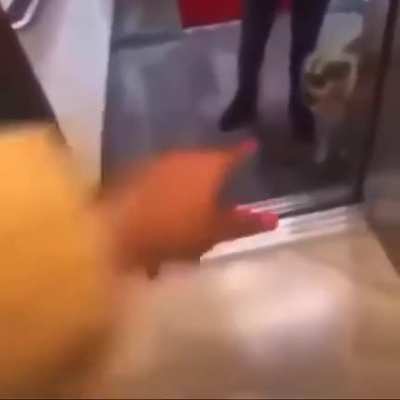 Tf did he do