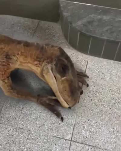 Тихий час