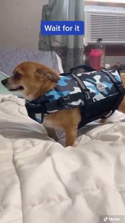 Life or Death Jacket?