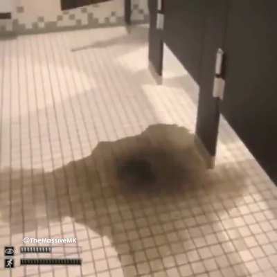 Run school is having confinement breach