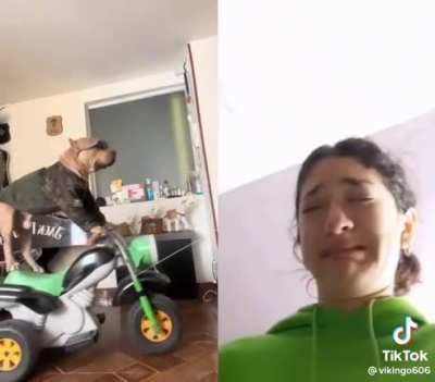 XD