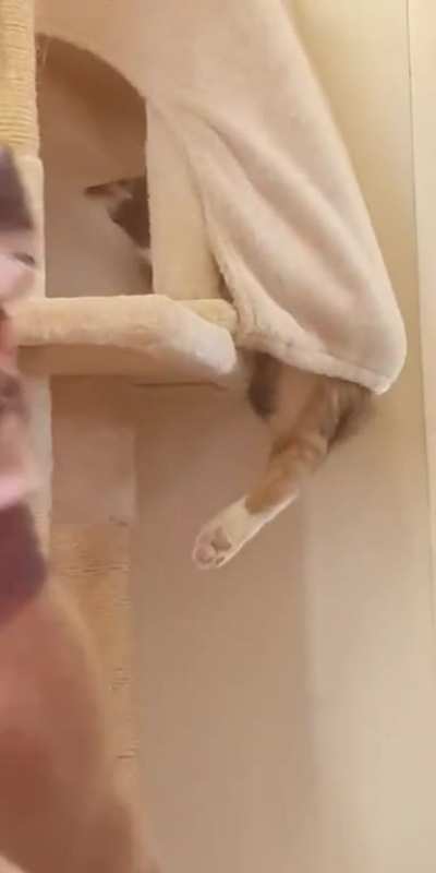 Dad leave my toe beans alone!