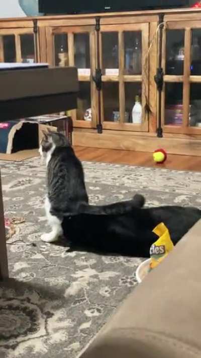 &ldquo;I sit where I want to sit.&rdquo;