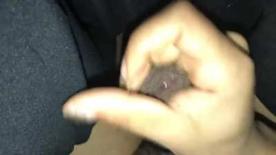 Sasha Strokes