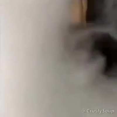 Wft