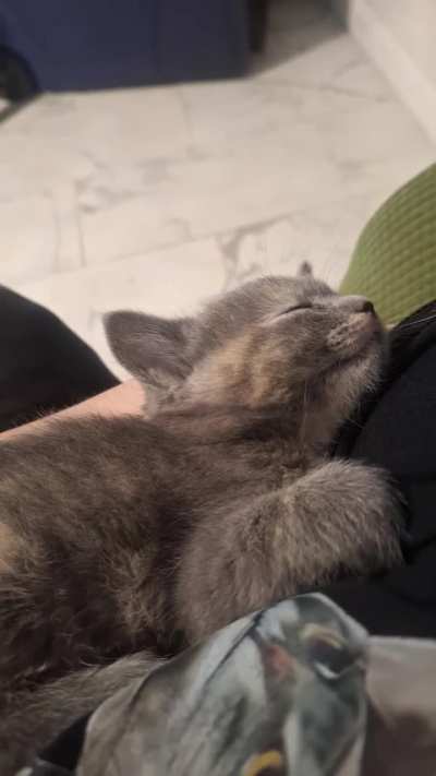 Sleep wiggles