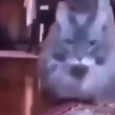 :)